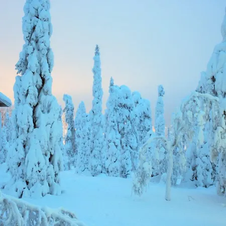 Kelokoto Σαλέ Ruka