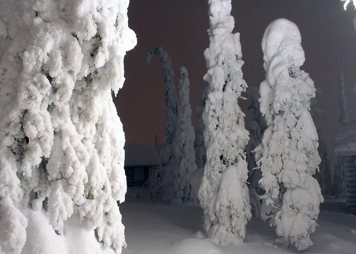 Kelokoto Σαλέ Ruka